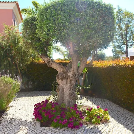 With 4 Bedrooms In With Private Pool Enclosed Garden And Wifi * Faro